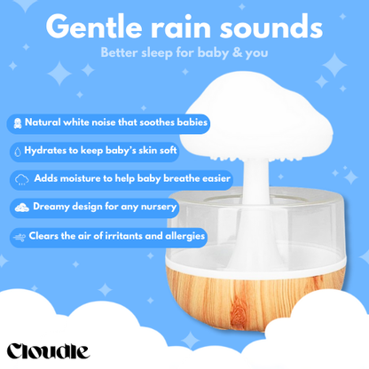 Cloudle Rain Humidifier